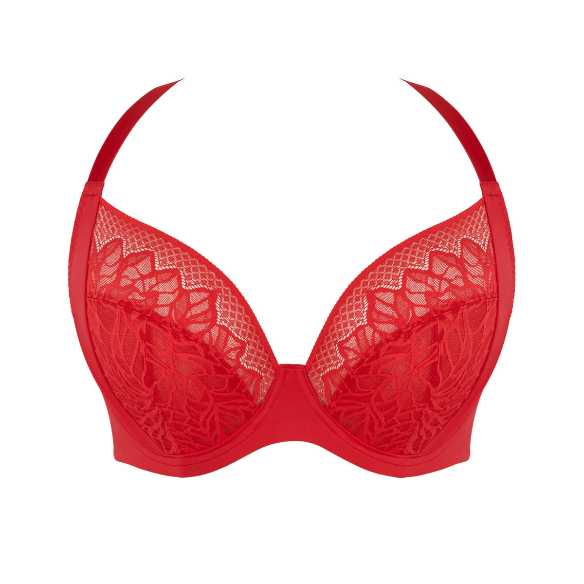 Red lace bra on a white background