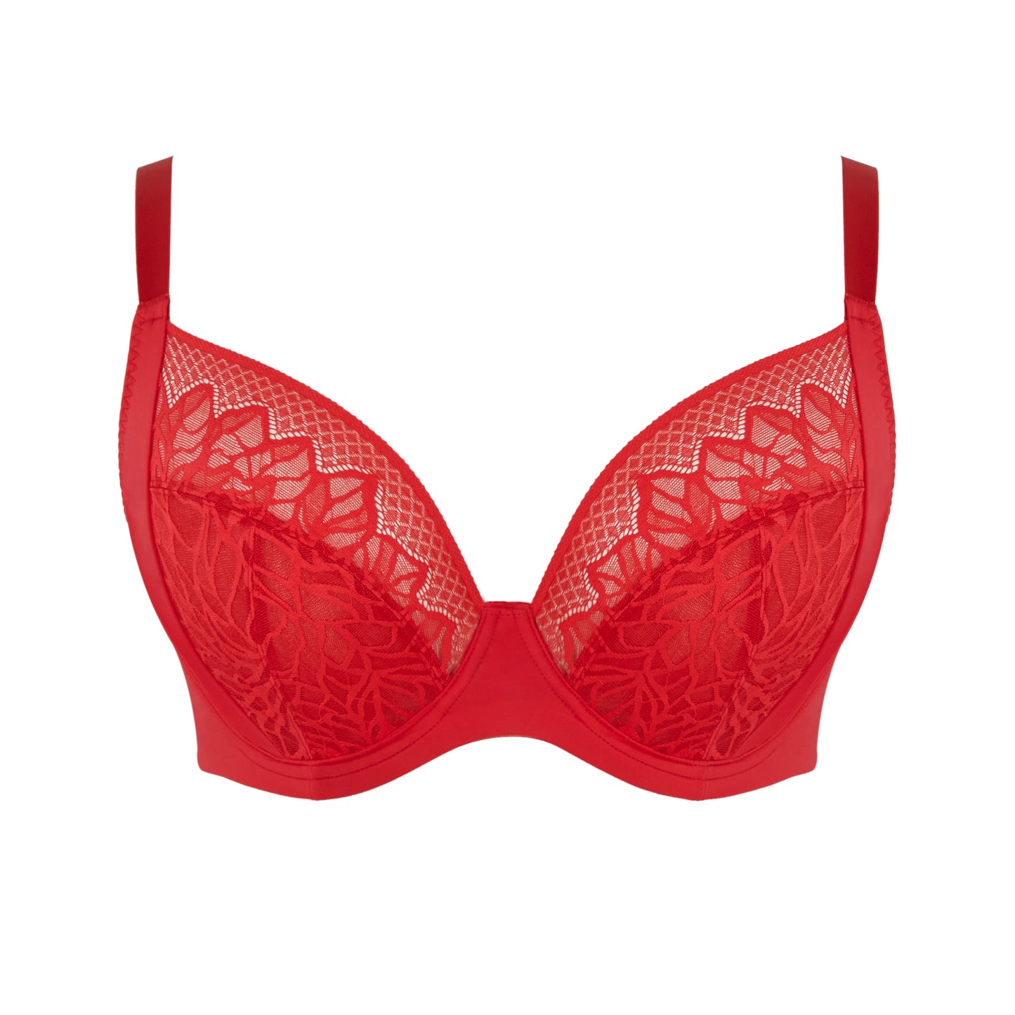 Red lace bra on a white background