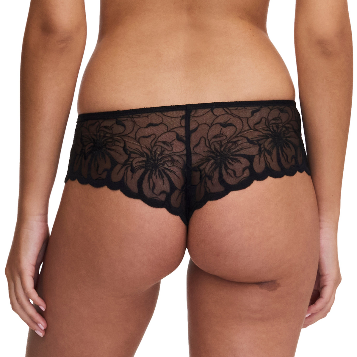 Black lace underwear on a white background