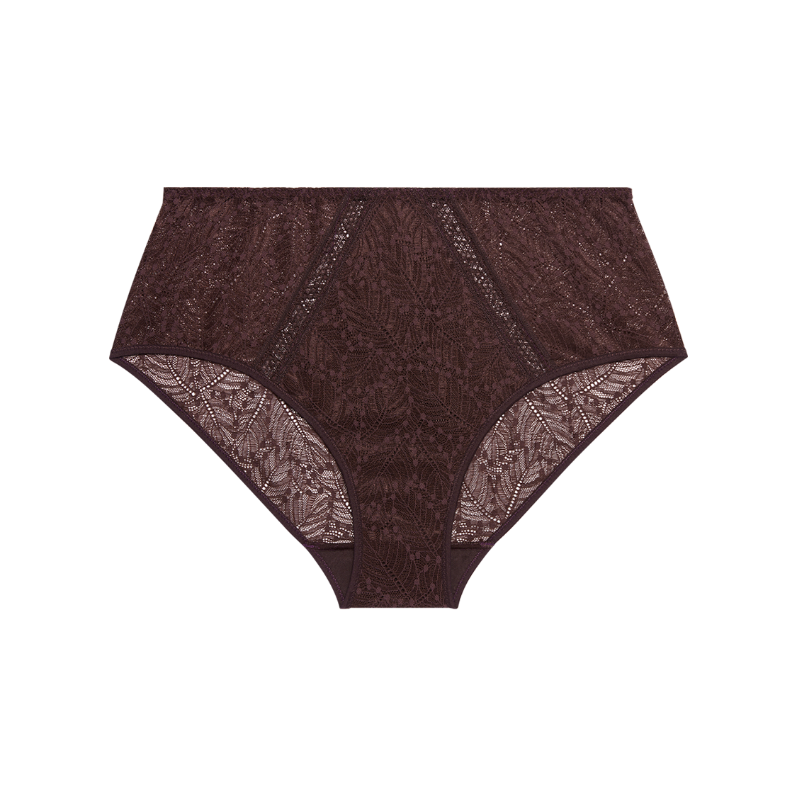 Brown lace-trimmed underwear on a white background