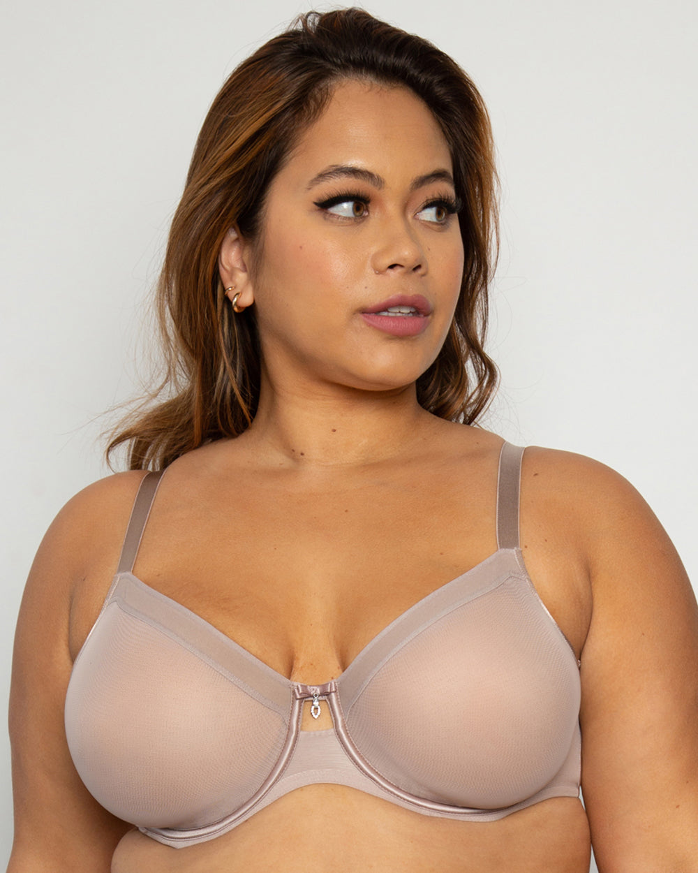 Sheer Mesh Unlined Underwire Bra - Bark